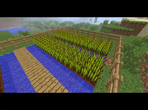 basic minecraft farms|How to Build a Basic Farm in Minecraft: 11 Steps (with Pictures) .